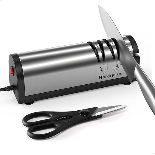 Professional 2-Stage Electric Knife Sha...