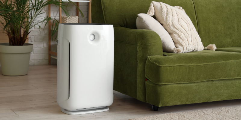 Best Air Purifiers