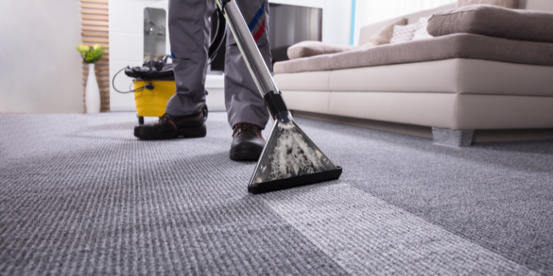 Best Carpet Cleaners