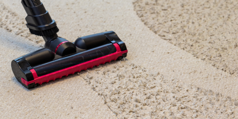 Best Portable Carpet Cleaners