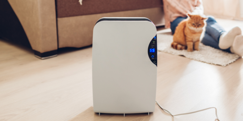 Best Dehumidifier