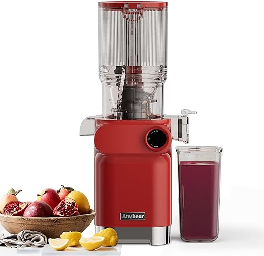 Anybear 200W Cold Press Juicer – ...