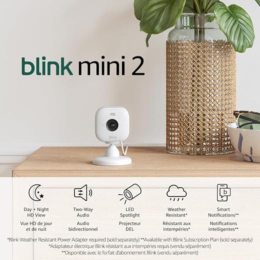 Blink Mini 2: HD Color Security Camera ...