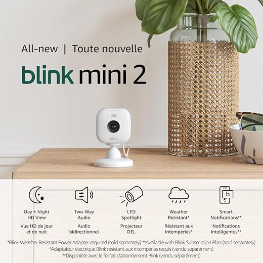 Blink Mini 2 Smart Security Cameras ...