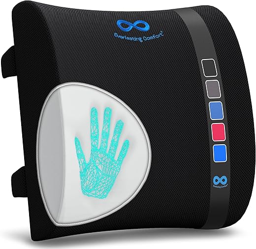 Memory Foam Lumbar Support Pillow for O...