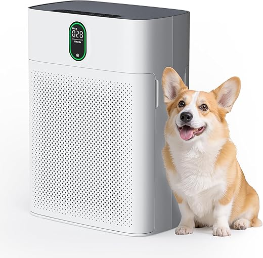 Large Room HEPA Air Purifier – 10...