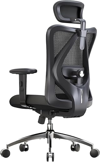 Sihoo Ergonomic Mesh Office Chair with ...