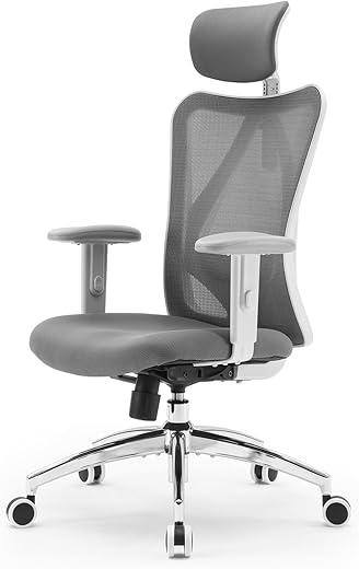 SIHOO M18 Ergonomic Office Chair with A...