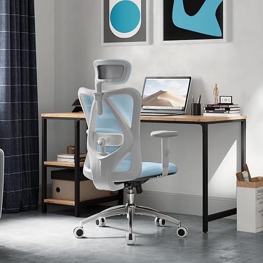 Ergonomic SIHOO M18 Office Chair with A...
