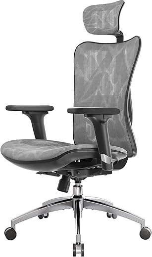 SIHOO M57 Ergonomic Office Chair with L...