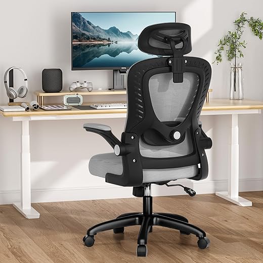 Ergonomic Office Chair with Adjustable ...