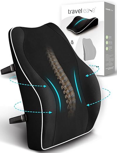 Memory Foam Lumbar Support Cushion for ...
