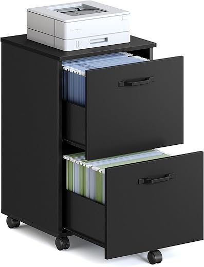 VASAGLE Small 2-Drawer Rolling File Cab...