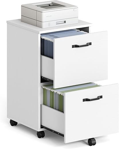 VASAGLE Small 2-Drawer Rolling File Cab...