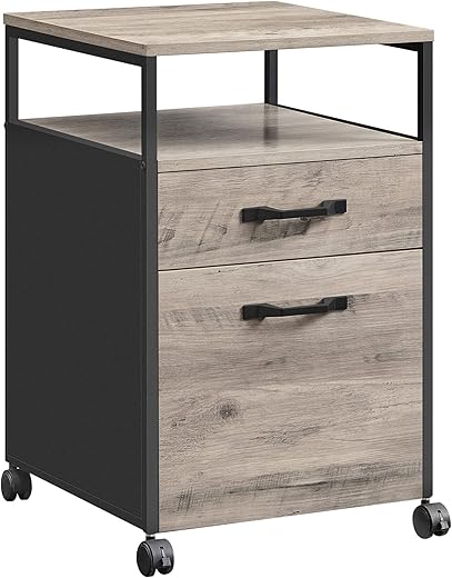 Mobile File Cabinet on Wheels with 2 Dr...