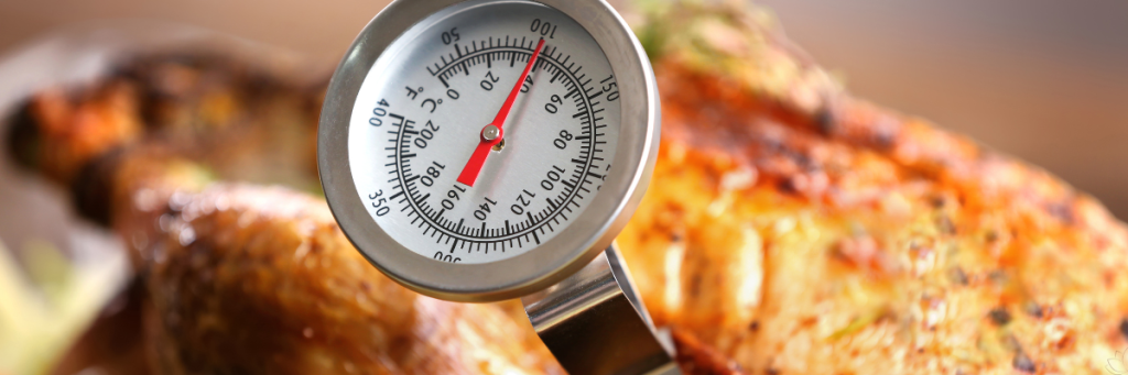 Best Meat Thermometers