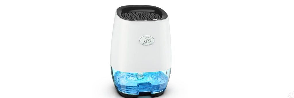 Best Dehumidifiers