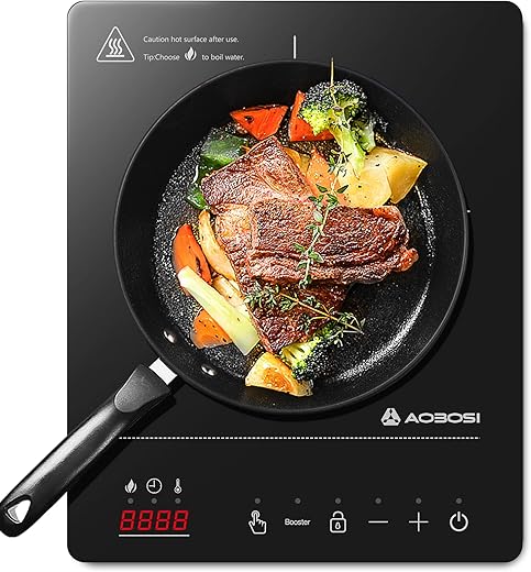 Portable Aobosi 2000W Single Induction ...