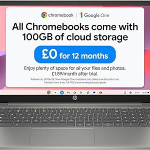 HP Chromebook 15.6" with Intel N100