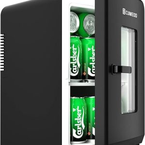 Portable Mini Fridge 15L with AC/DC Power