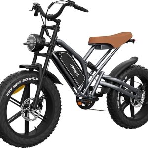 X50 Electric Bike for All Terrain
