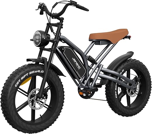 X50/X60/X70 Off-Road Electric Bike for ...