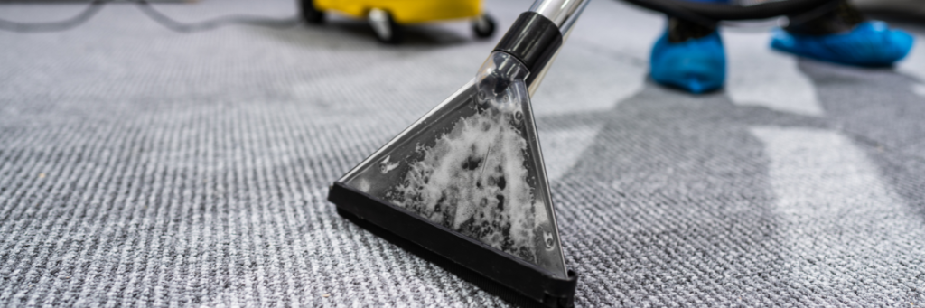 Best Portable Carpet & Upholstery Cleaners