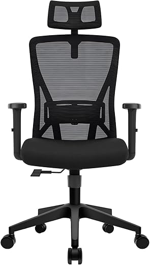 Ergonomic Office Chair with Adjustable ...