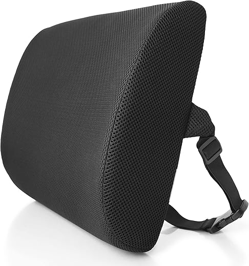Ergonomic Memory Foam Lumbar Support Pi...