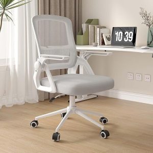 Naspaluro Ergonomic Office Desk Chair