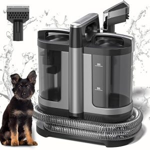 Portable Upholstery Carpet Cleaner Machine