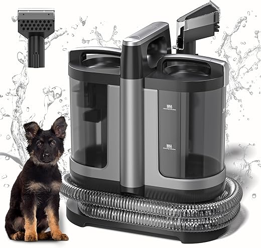 Portable Carpet and Upholstery Cleaner ...