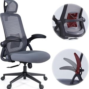 Realm of Thrones Ergonomic Office Chair