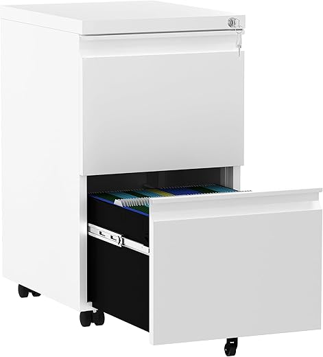 Mobile Filing Cabinet with 2 Lockable D...