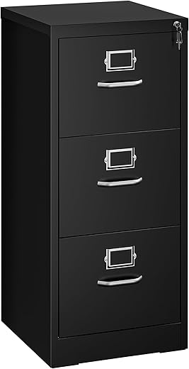 Lockable Vertical File Cabinet with 3 D...