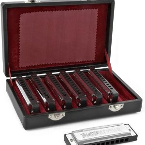 7 Piece Beginner Blues Harmonica Set