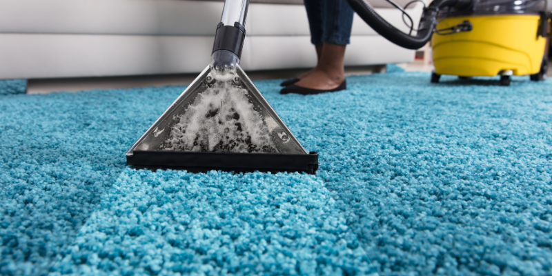Best Carpet Cleaners