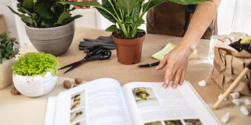 Best Essential Gardening Books