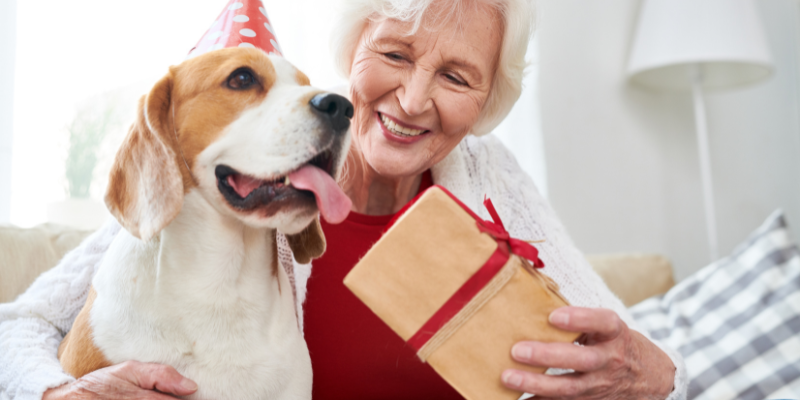 Best Gifts for Pet Lovers