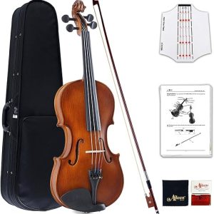 Aileen 4/4 Beginner Violin With Accessories