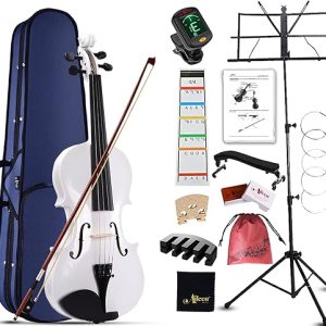 Aileen 4/4 Full Size Beginners Violin