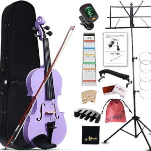 Aileen Beginner Violin Full Size Purple