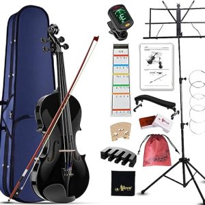 Aileen Student Violin for Beginners 4/4