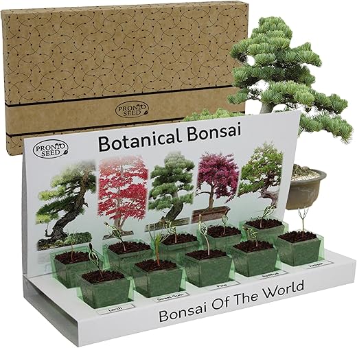 Grow Your Own Bonsai Tree Kit – 5...