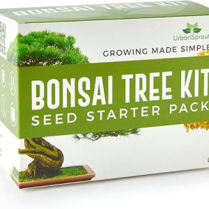Bonsai Tree Kit for Beginners