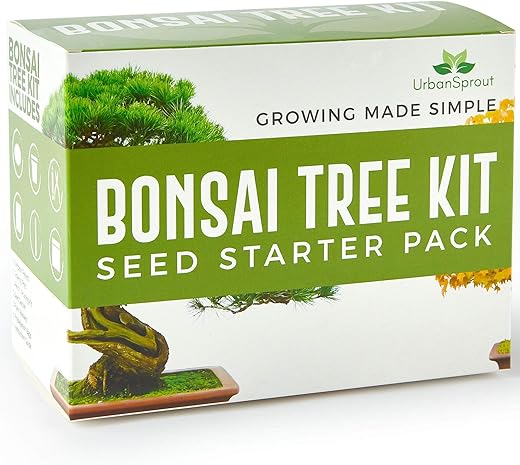 Bonsai Tree Kit – Grow 5 Varietie...