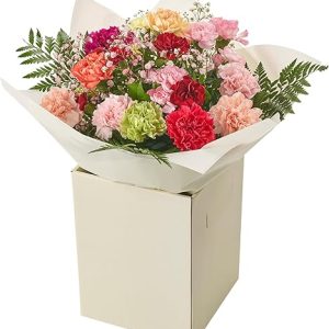 Fresh Carnation Autumn Flower Bouquet