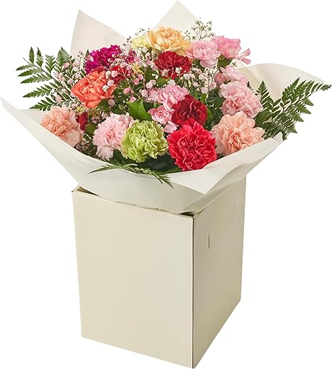 Autumn Carnation Bouquet – Fresh ...