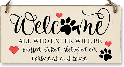 Funny Handmade Wooden Wall Plaque for D...