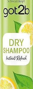Got2B Dry Wash Extra Fresh Dry Shampoo